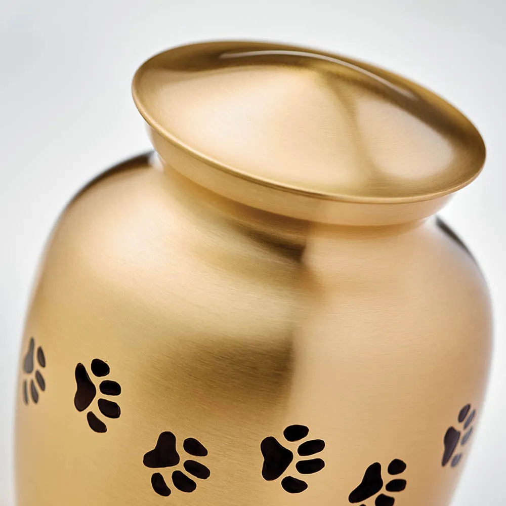 Bronze Paw Cremation Urn in Medium