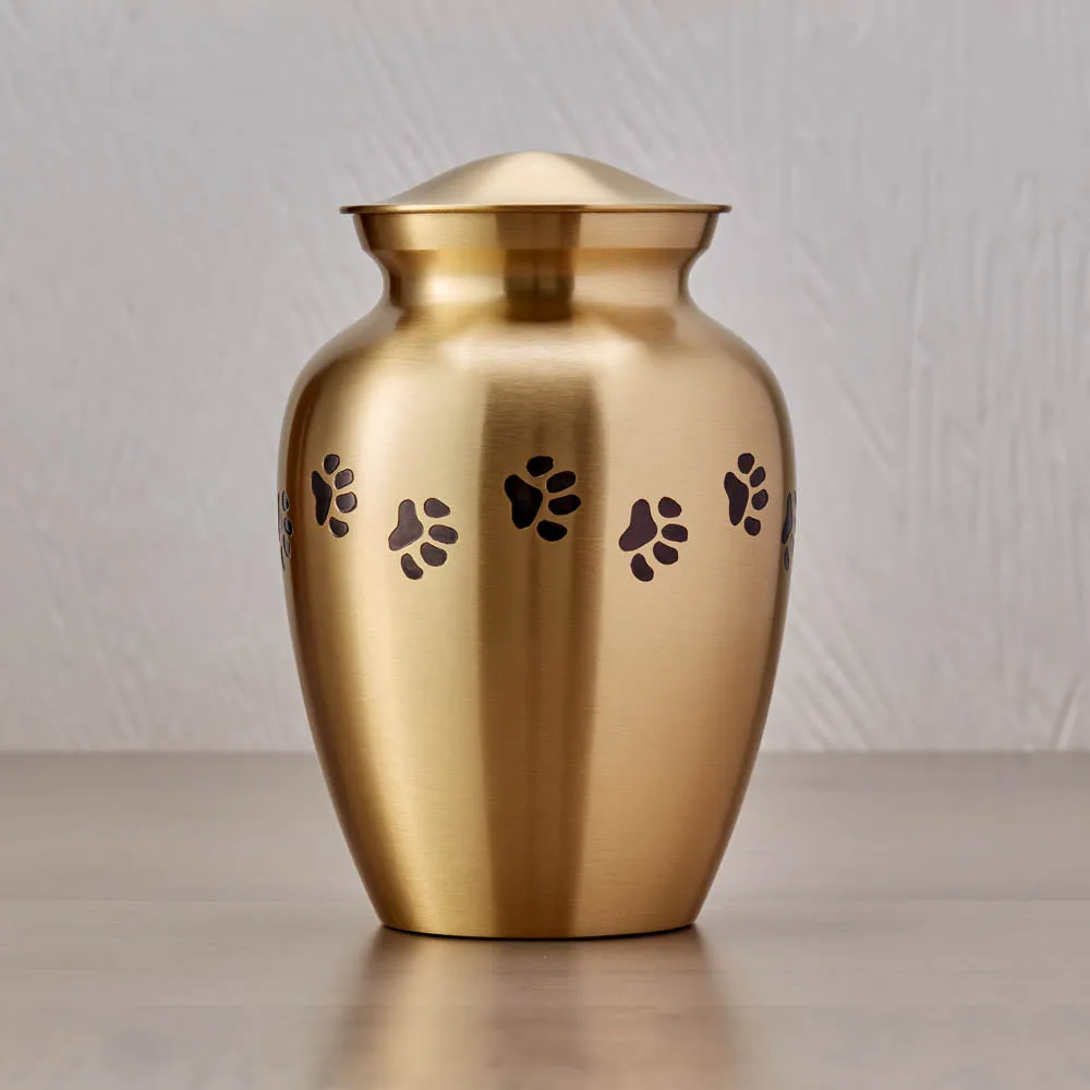 Bronze Paw Cremation Urn in Medium