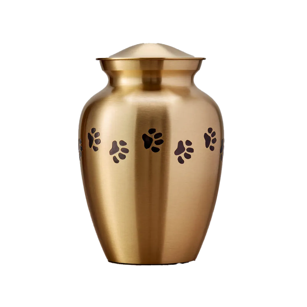Bronze Paw Cremation Urn in Medium