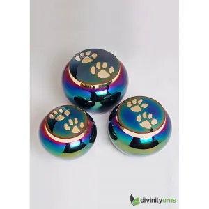 Buddy Rainbow Pet Cremation Urn- Small