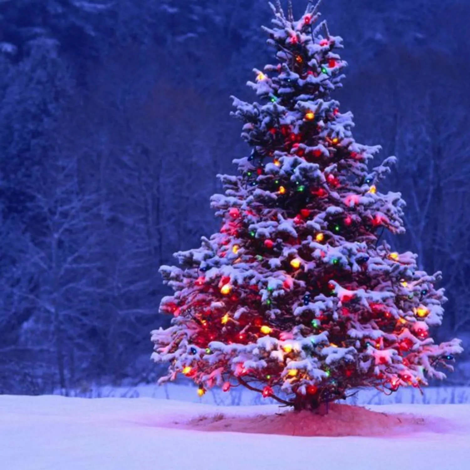 Christmas Tree