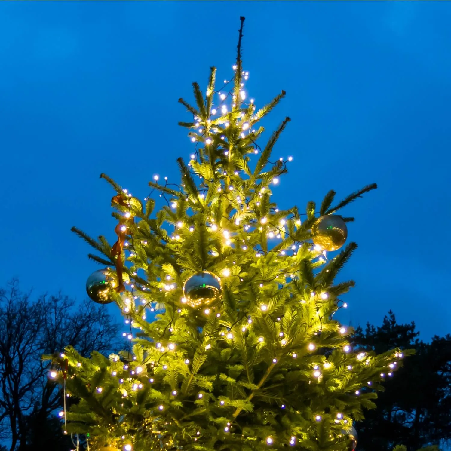 Christmas Tree