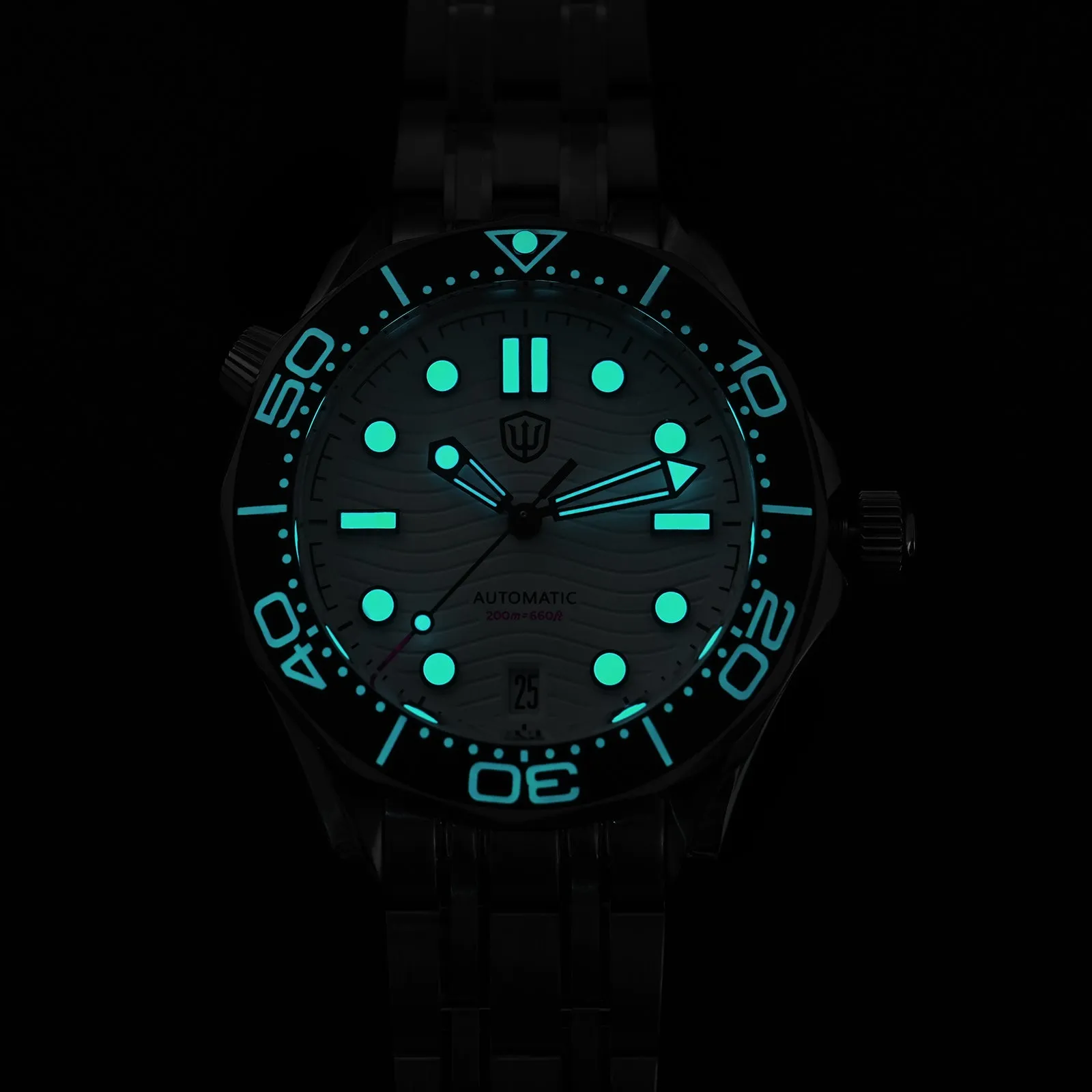 ★Early Bird★Watchdives WD007 39mm Titanium NTTD Dive Watch