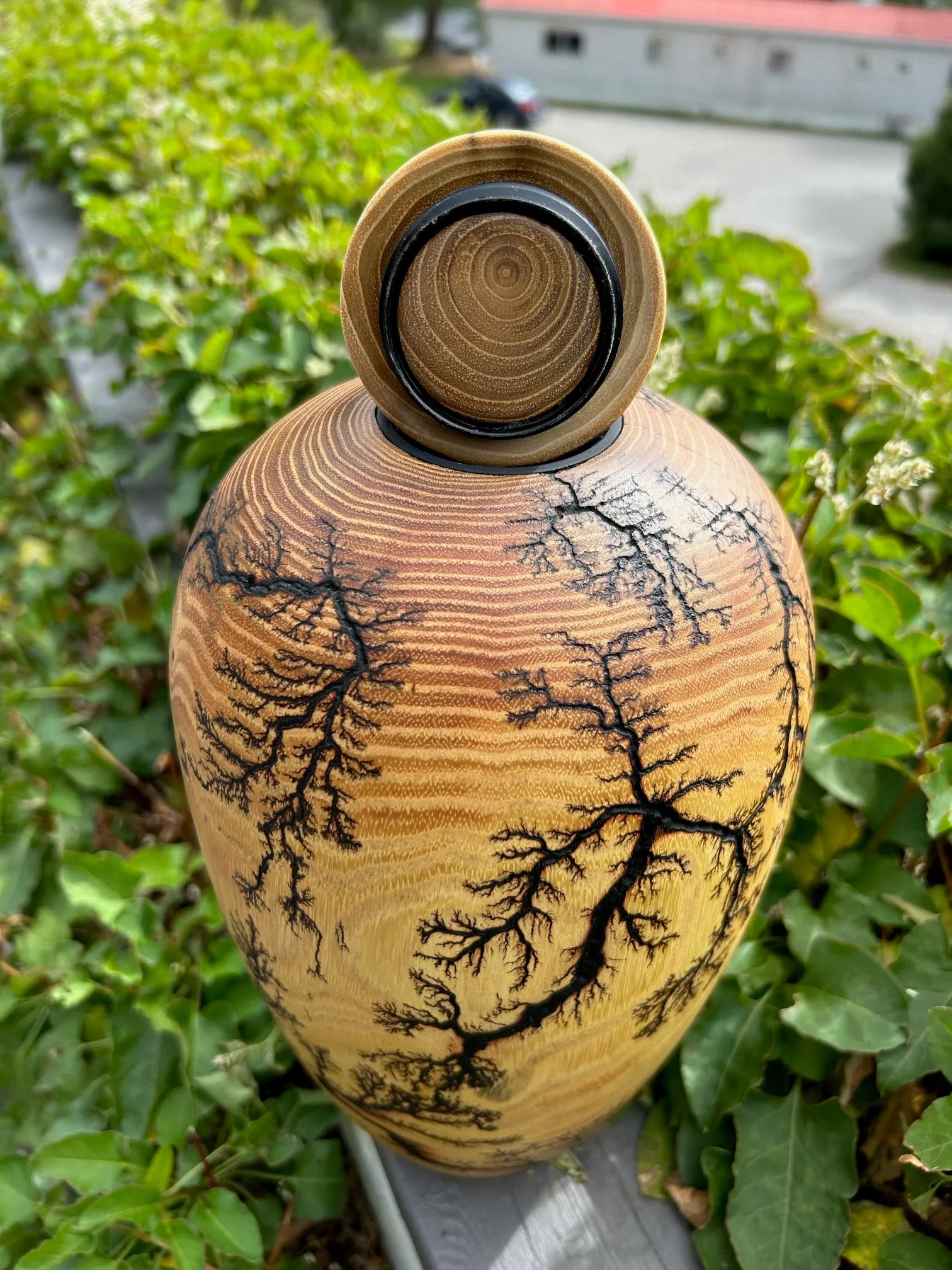 Fractal Black Locust Turned Urn 12