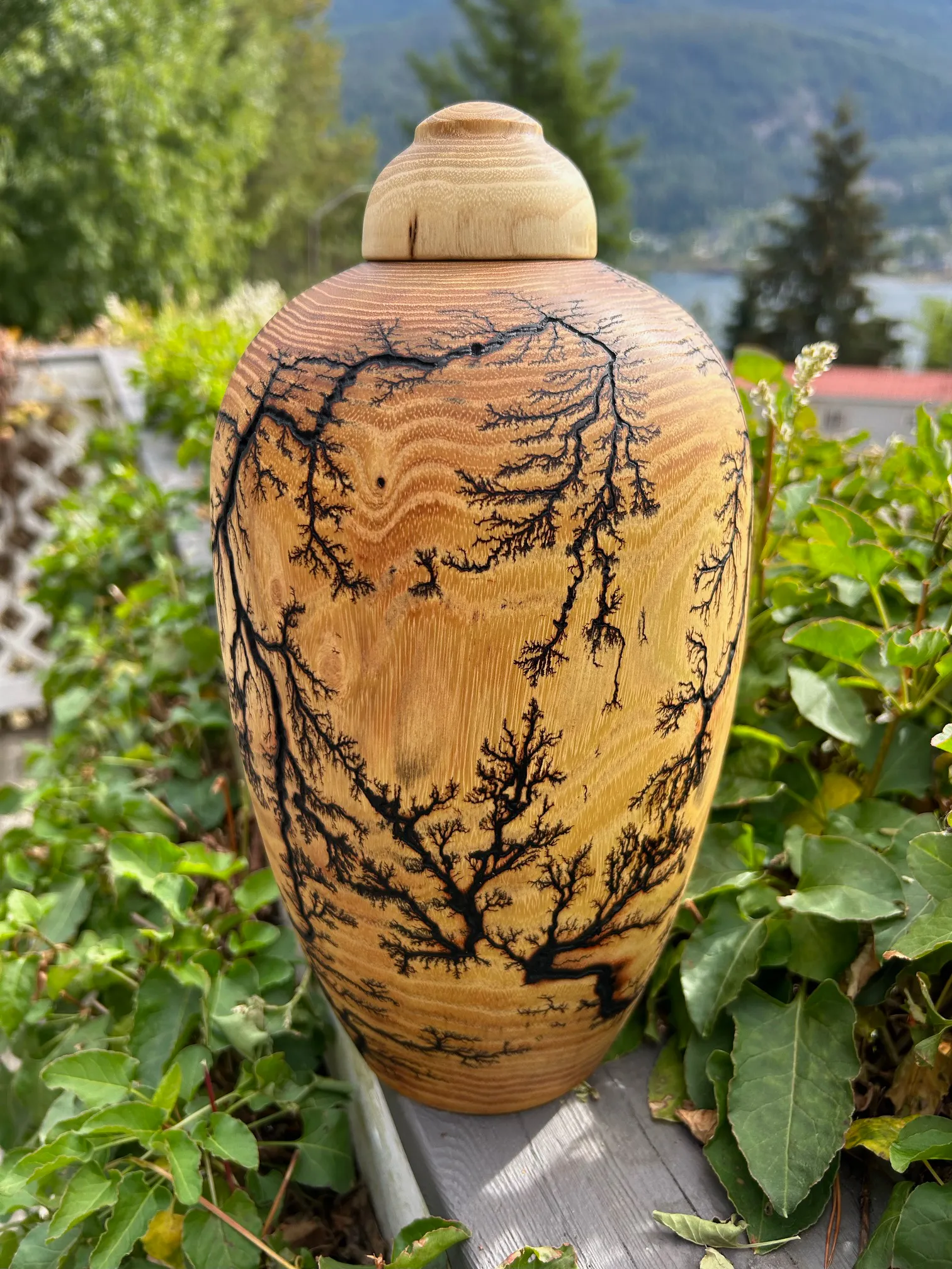 Fractal Black Locust Turned Urn 12