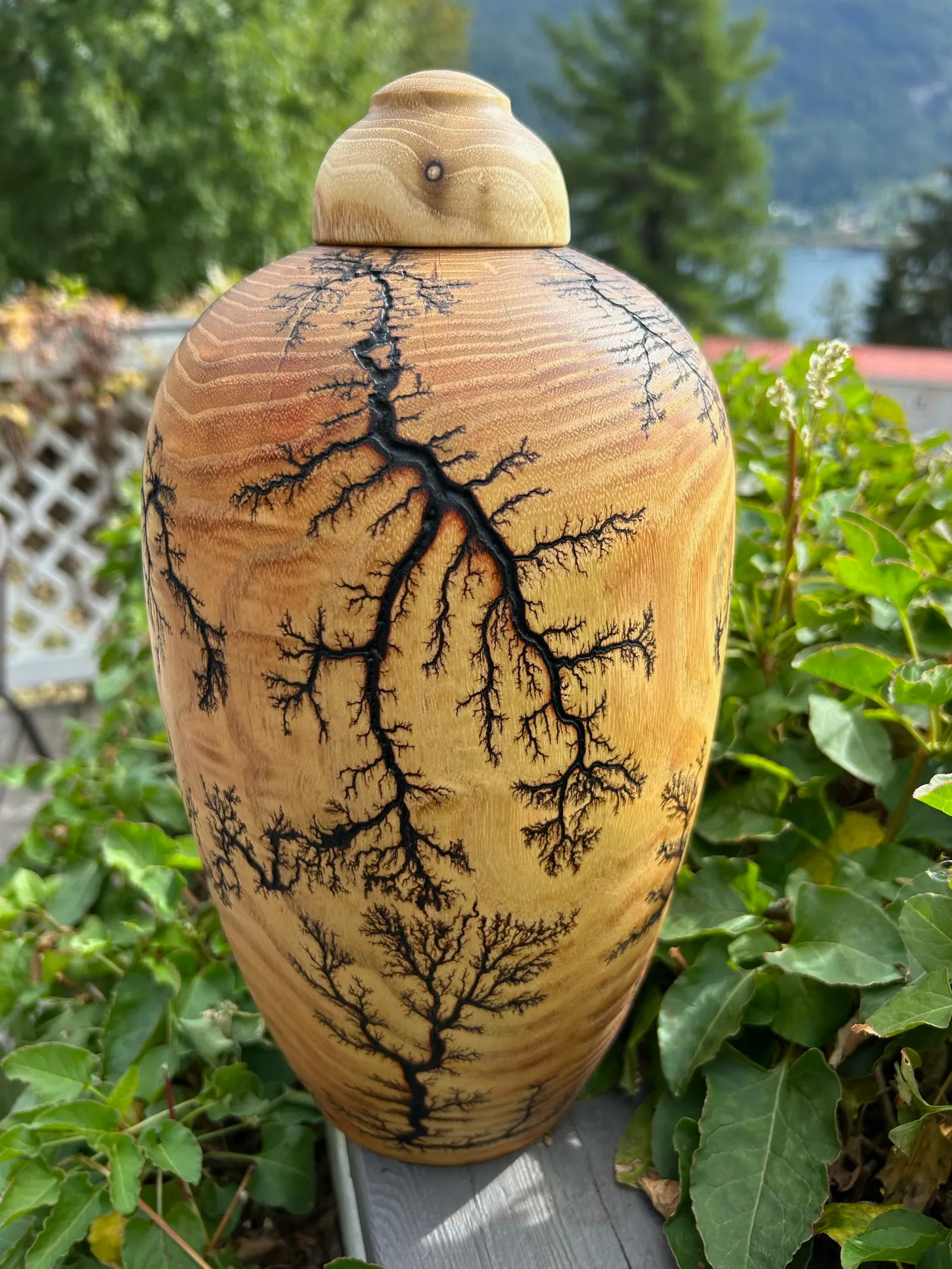 Fractal Black Locust Turned Urn 12