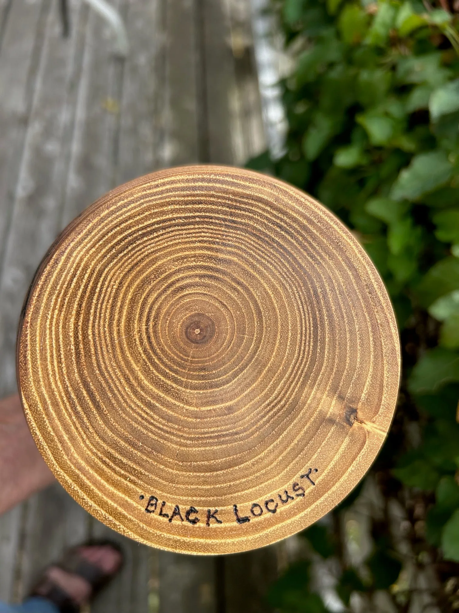 Fractal Black Locust Turned Urn 12