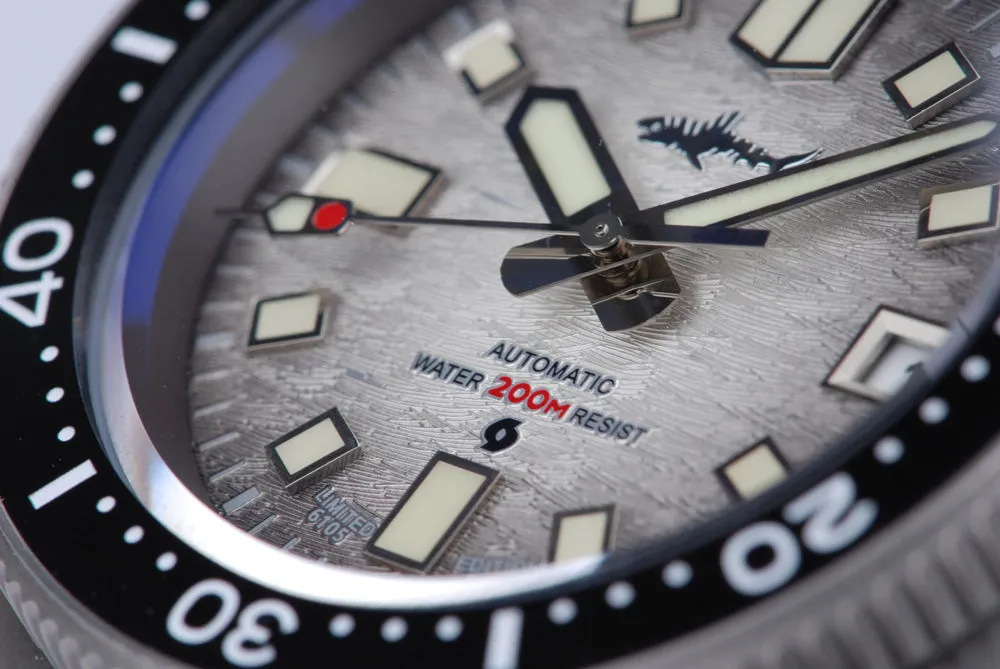 Heimdallr Titanium 6105 Turtle Dive Watch