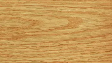 Hummingbird Cremation Urn with Dimensional Wood Inlay Art