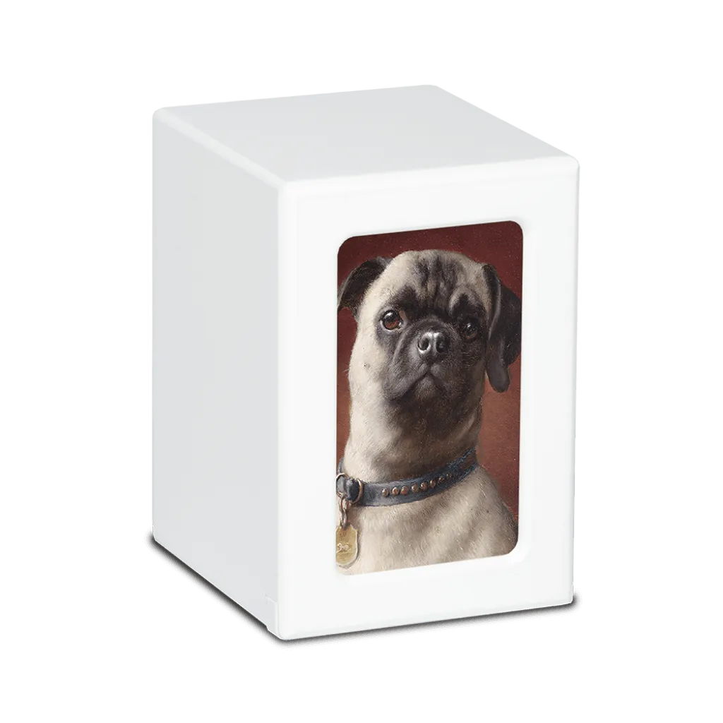 MEDIUM PY06 -White- Pug