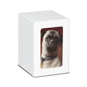 MEDIUM PY06 -White- Pug