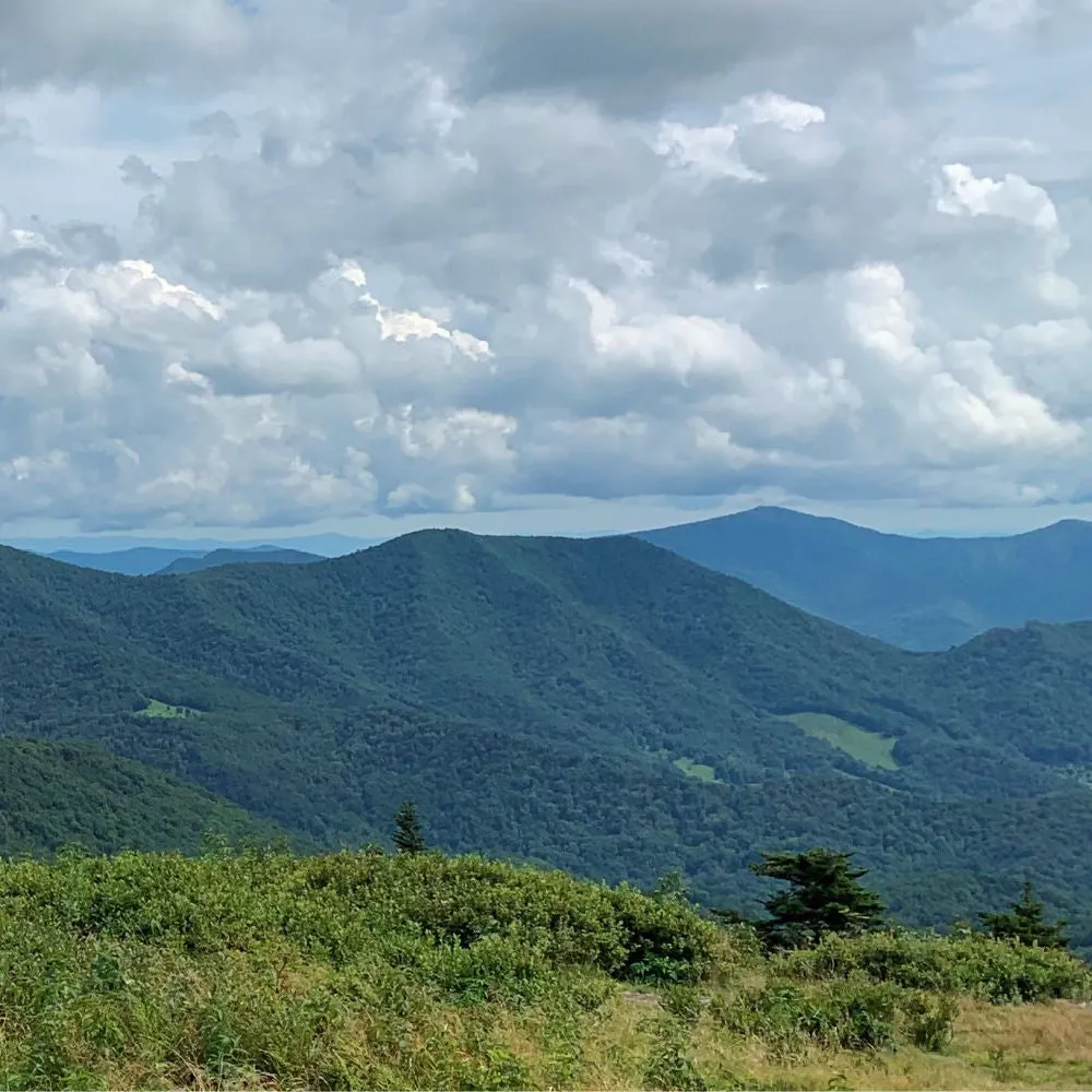 Mitchell County, North Carolina