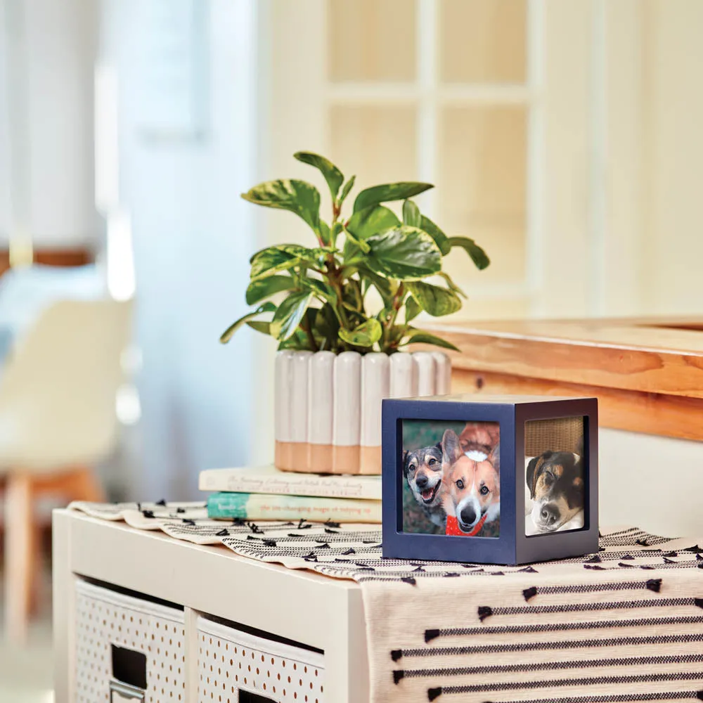 Navy Pet Photo Cube Urn In Small