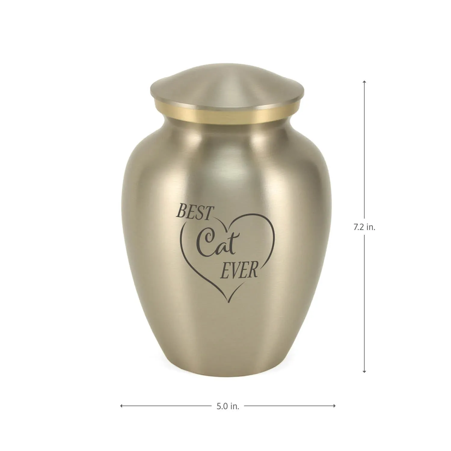 Near & Dear® Classic Expressions: "Best Cat Ever" Pewter Pet Urn In Small