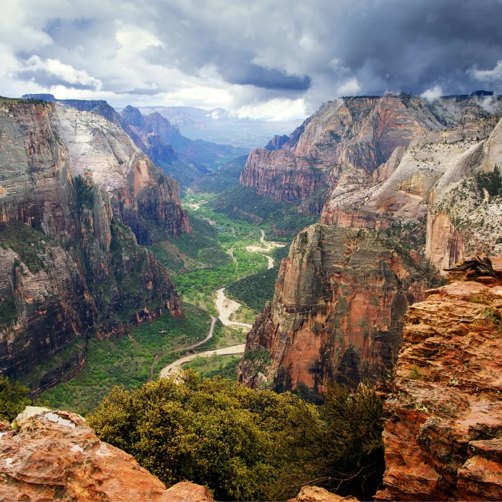 Observation Point