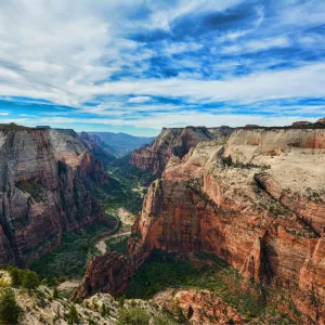 Observation Point