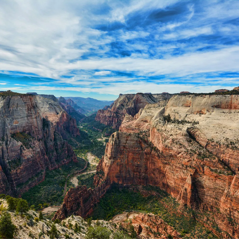 Observation Point