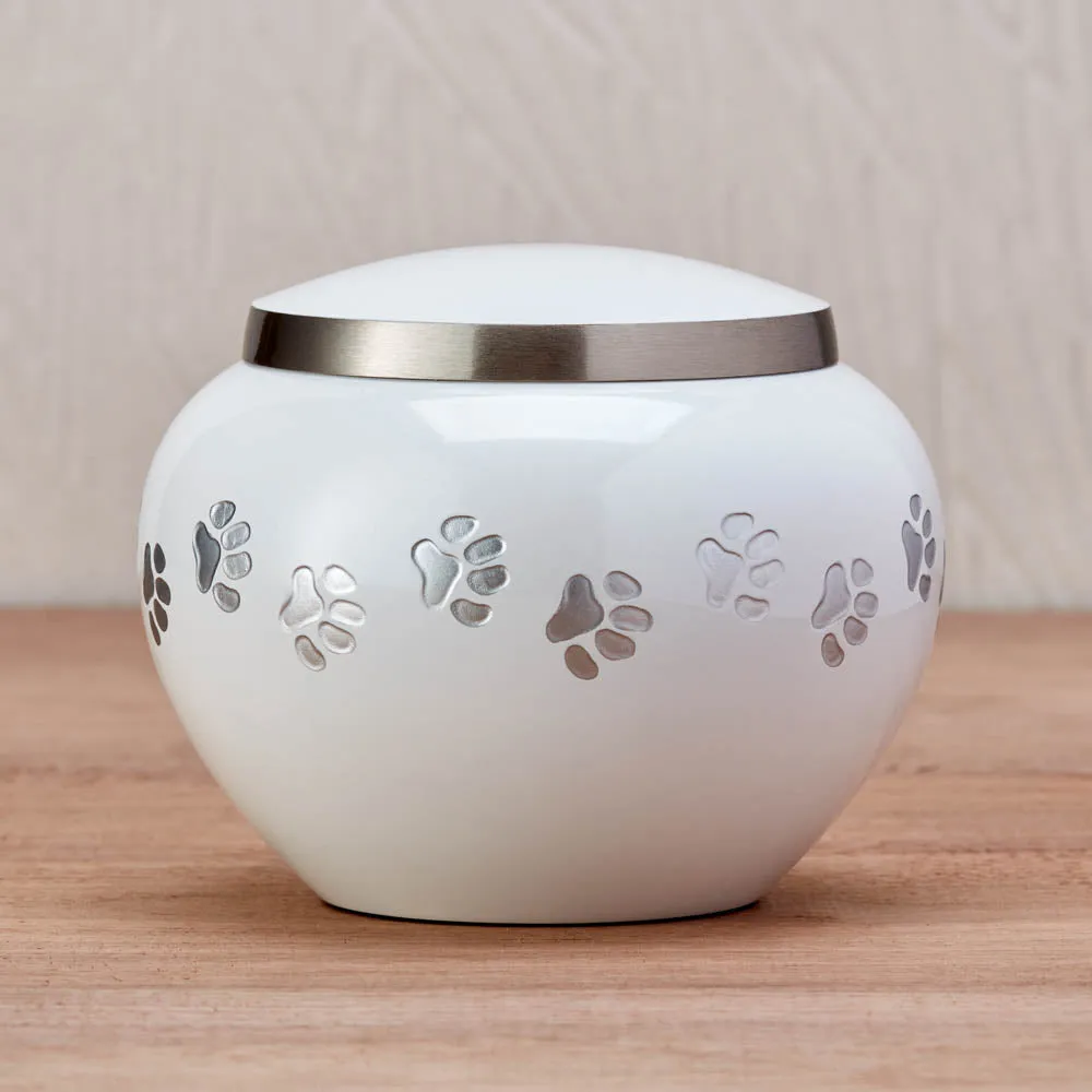 Odyssey Pearl Pet Urn in Medium