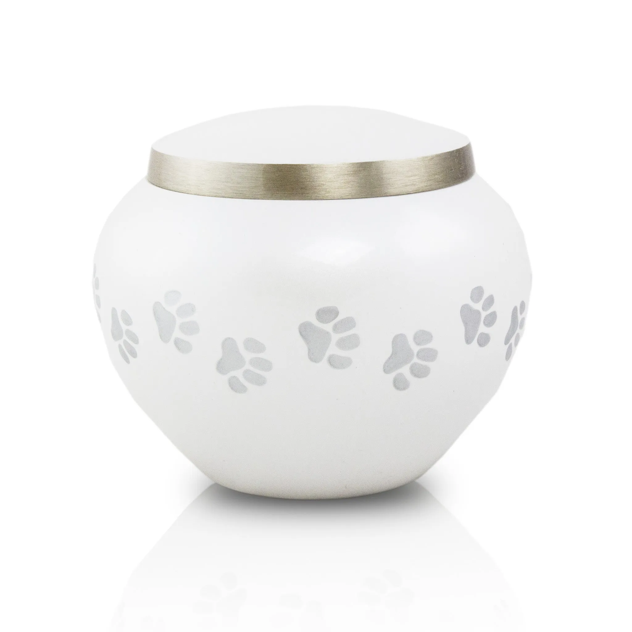 Odyssey Pearl Pet Urn in Medium