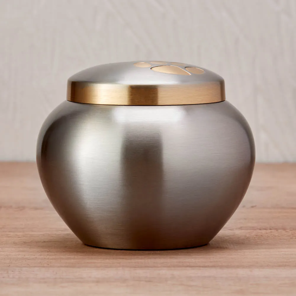 Odyssey Pewter Pet Urn in Medium
