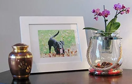 Pet Cremation Urn for Dogs & Cats Ashes, Brown