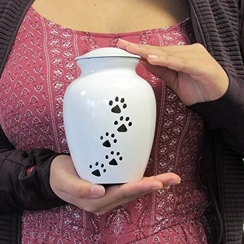 Pet Cremation Urn for Dogs & Cats Ashes, White