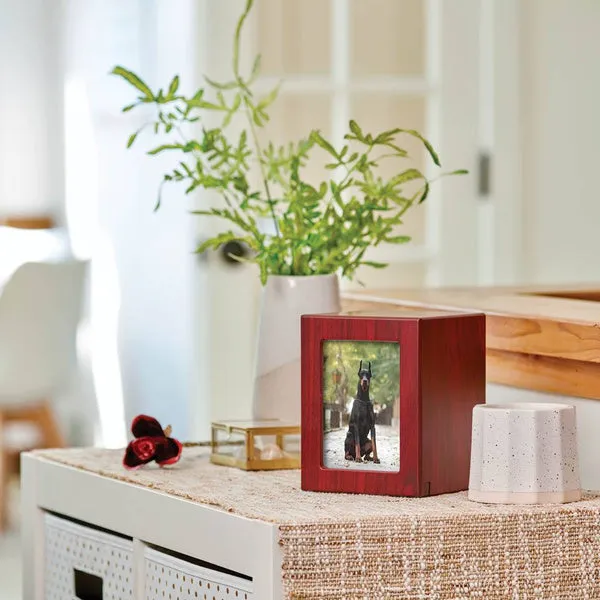 Photo Urn for Pet Ashes - Cherry