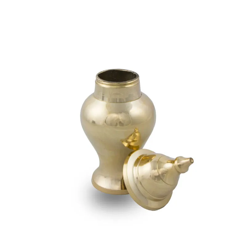 Shiny Brass Pet Urn in Extra Small