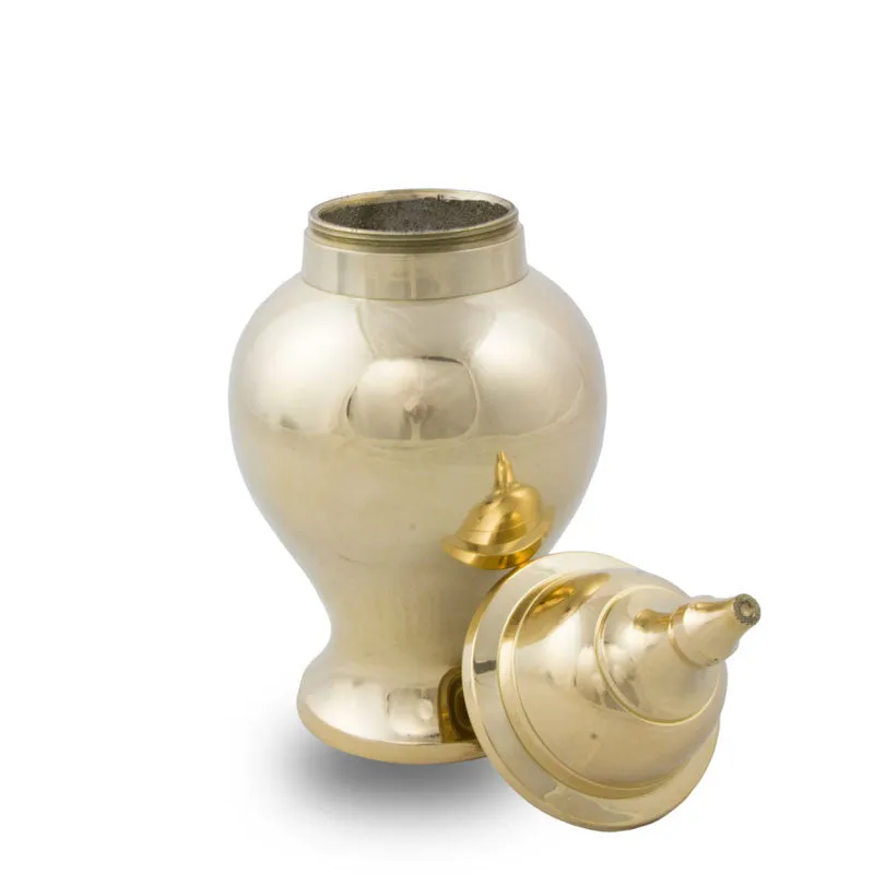 Shiny Brass Pet Urn in Small