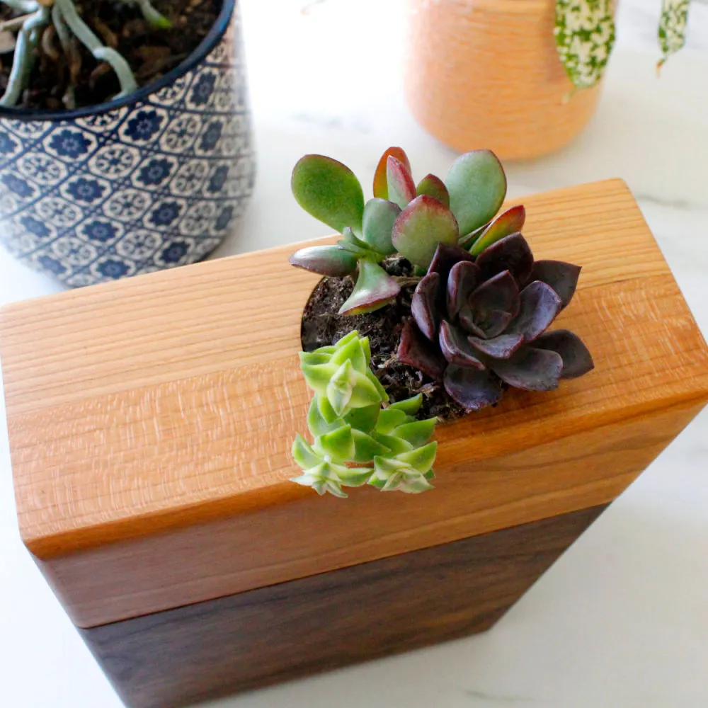 The Living Urn Planter™ for Pets