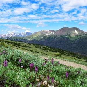 Ute Trail