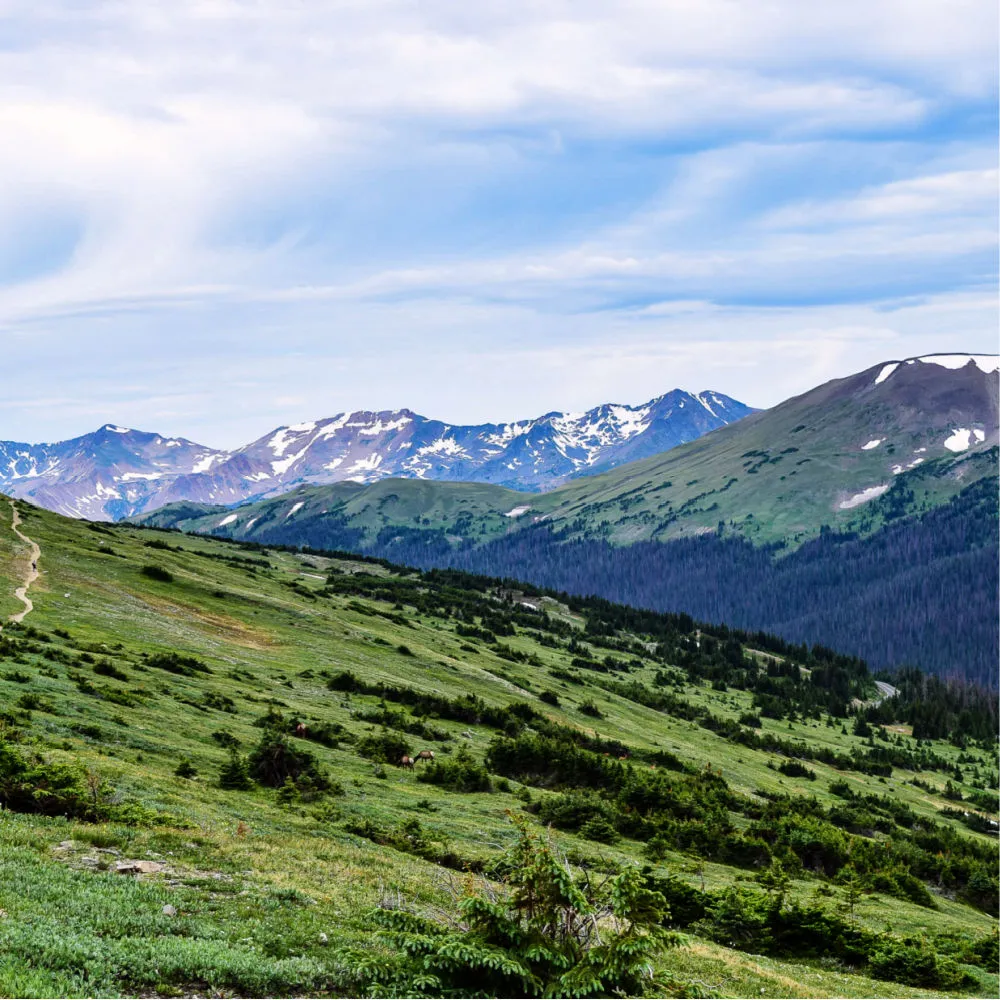 Ute Trail
