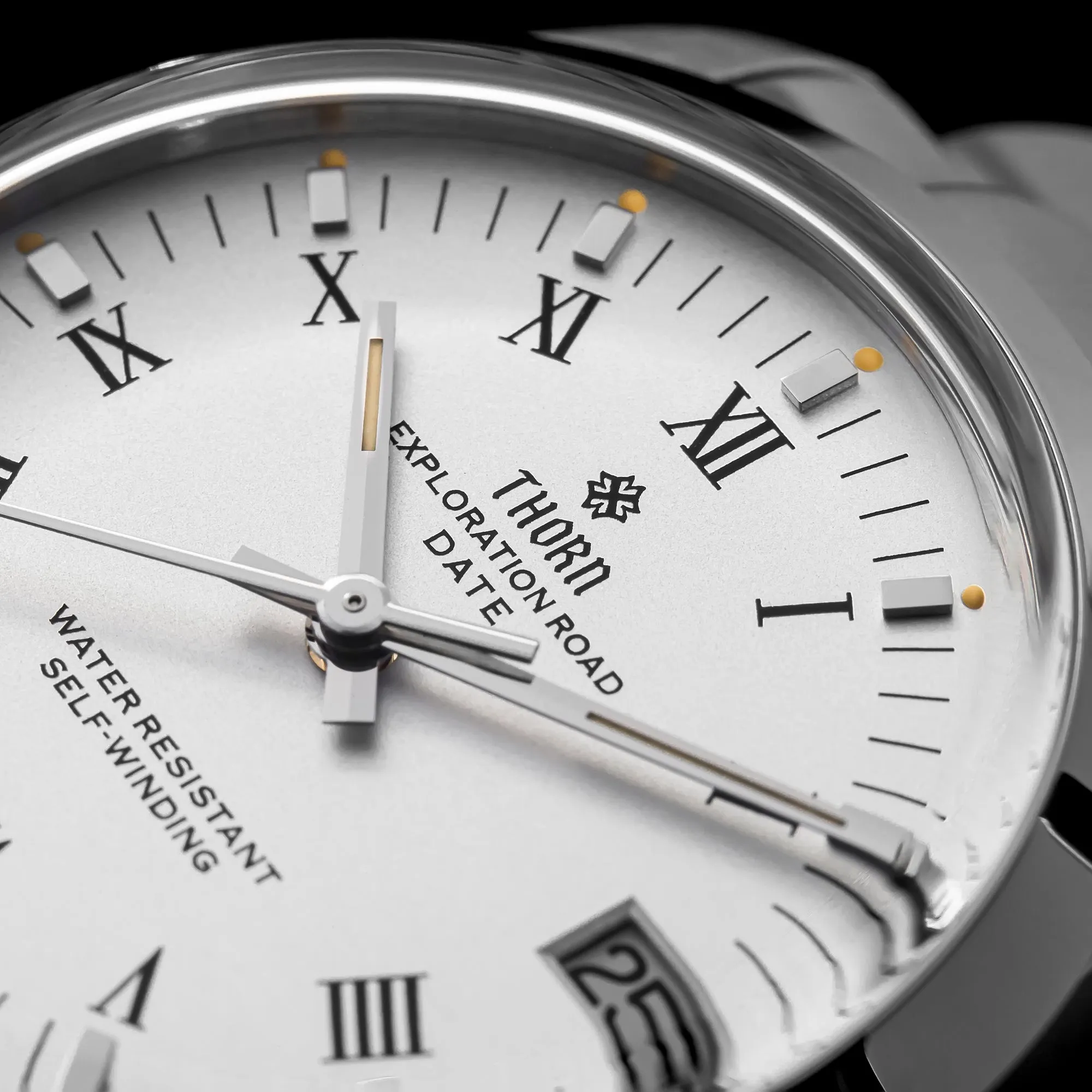 ★WeeklyDeal★Thorn 34mm PT5000 Retro Mechanical Watch T004