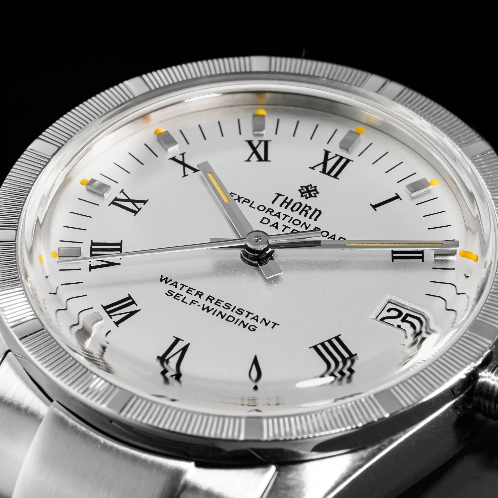 ★WeeklyDeal★Thorn 34mm PT5000 Retro Mechanical Watch T004